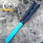 Baliplus Swordfish